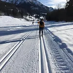 Bergesgruen *