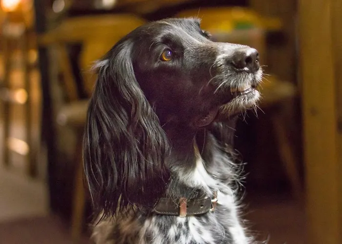 Bergesgruen * Oberstdorf